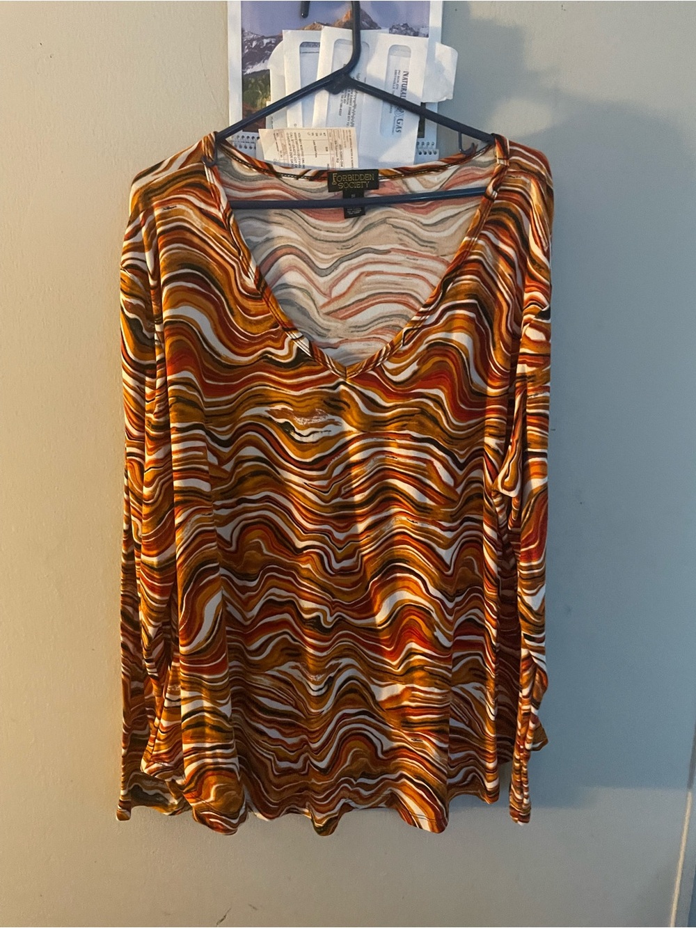 Sag Harbor Long Sleeve V-Neck Top - Rust, Brown, Cream